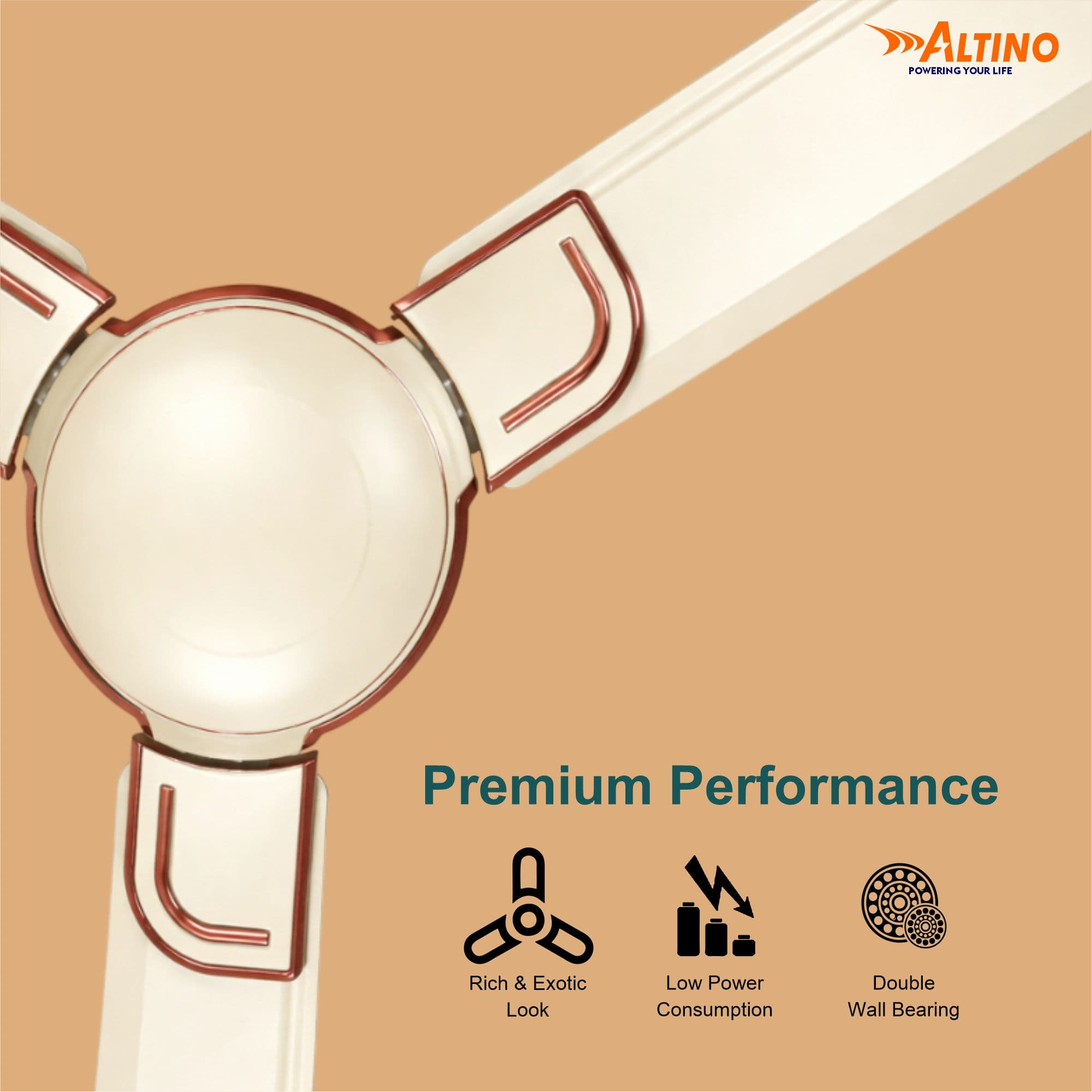 Macho (Royal) - Ivory view 10