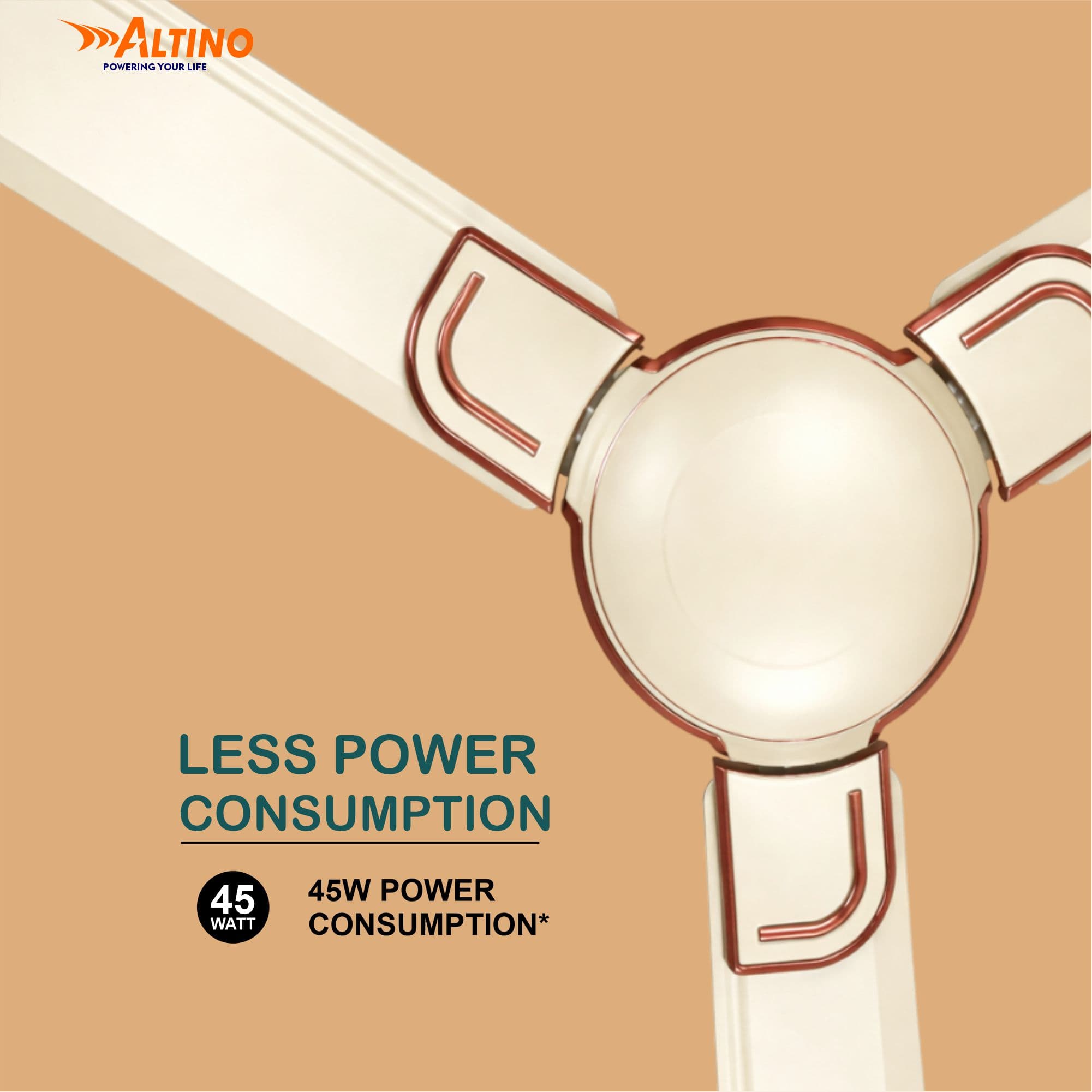 Macho (Royal) - Ivory view 11