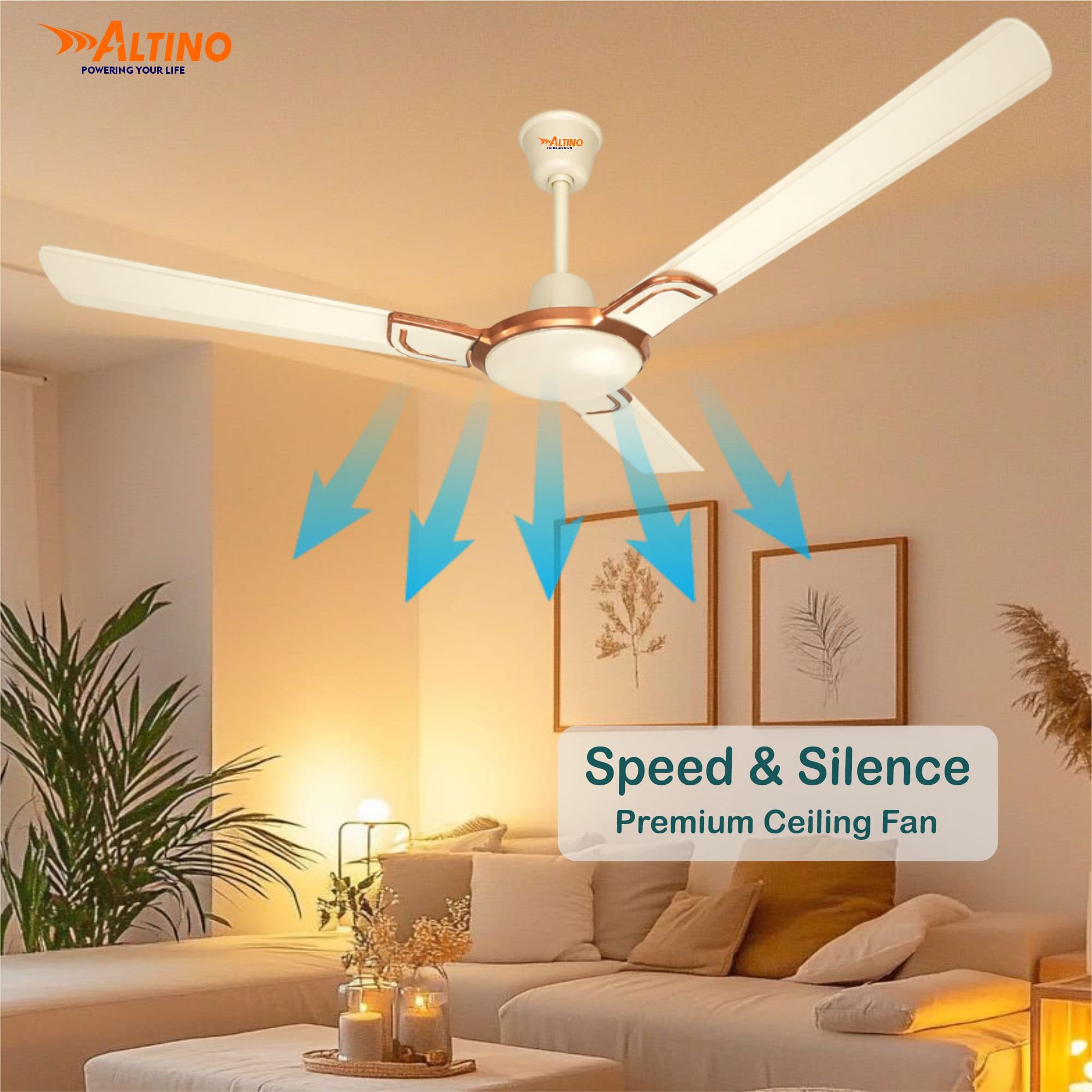 Macho (Royal) - Ivory view 4