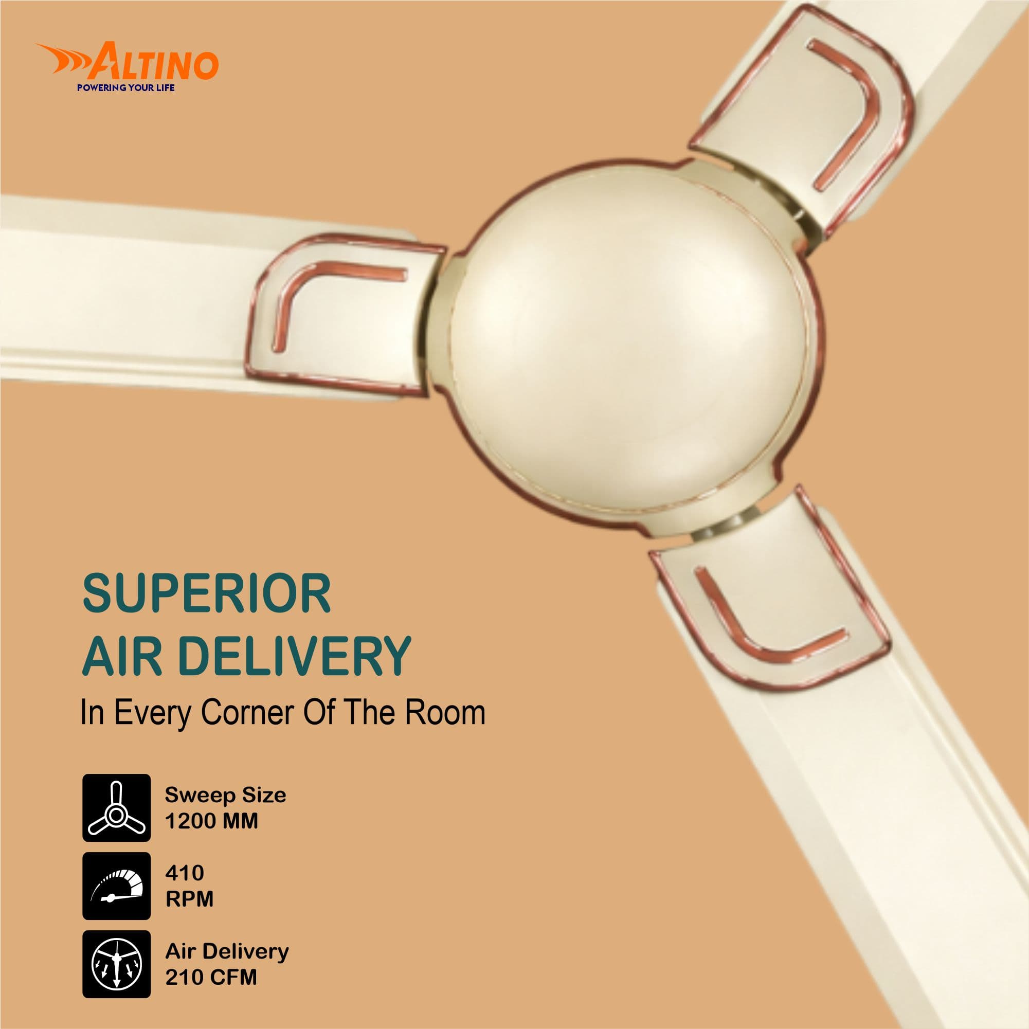 Macho (Royal) - Ivory view 5