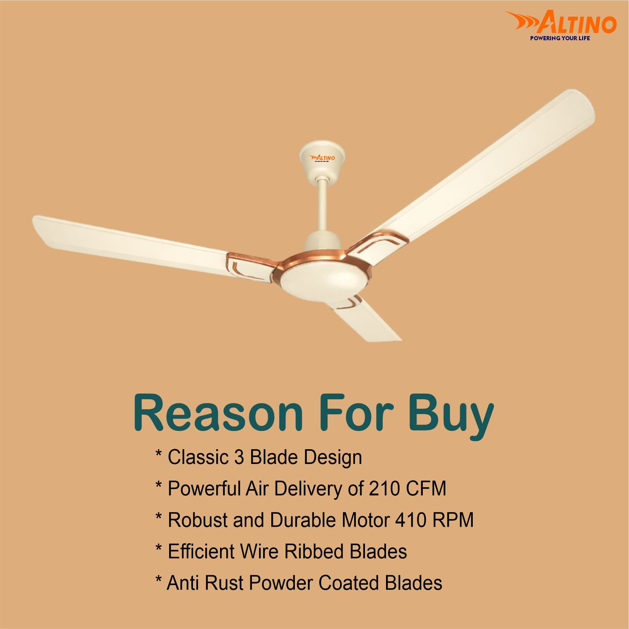 Macho (Royal) - Ivory view 6