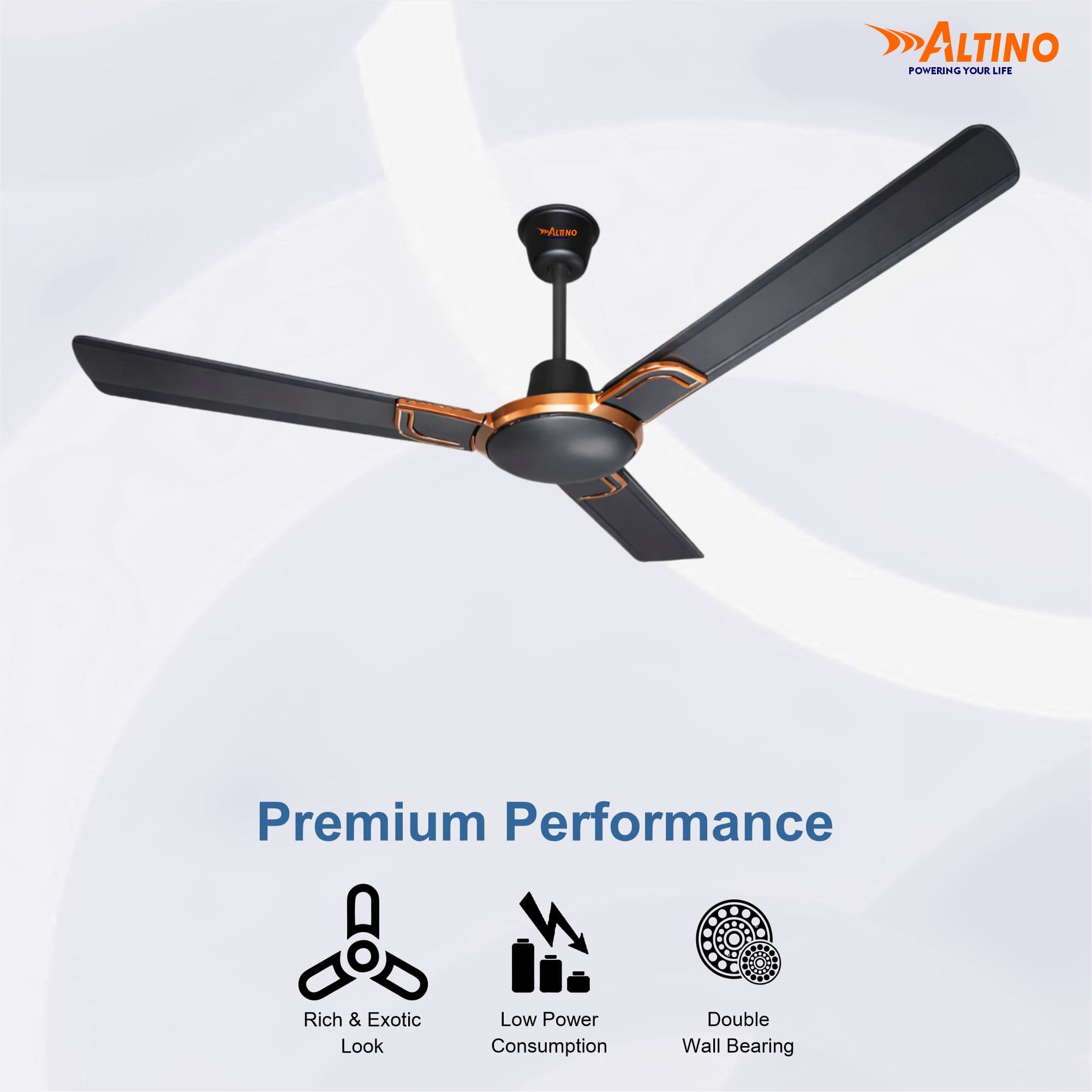 Macho (Royal) - Smoke Brown view 10