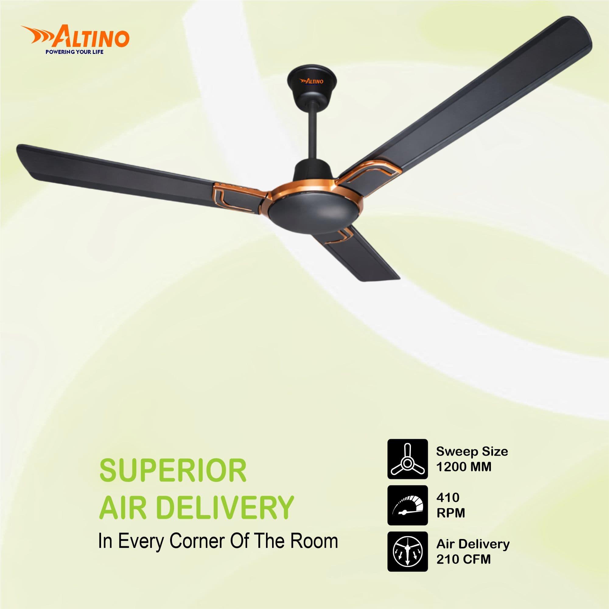 Macho (Royal) - Smoke Brown view 5