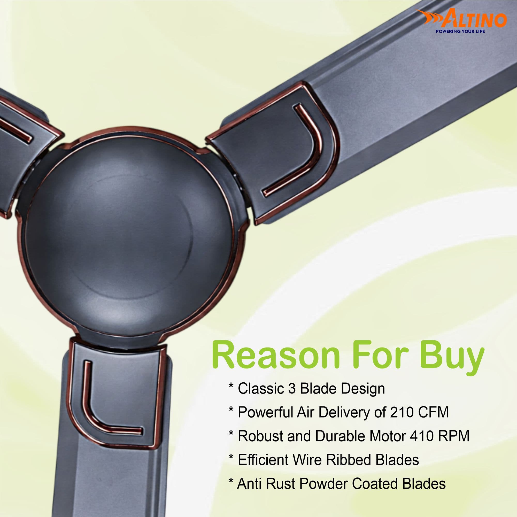 Macho (Royal) - Smoke Brown view 6