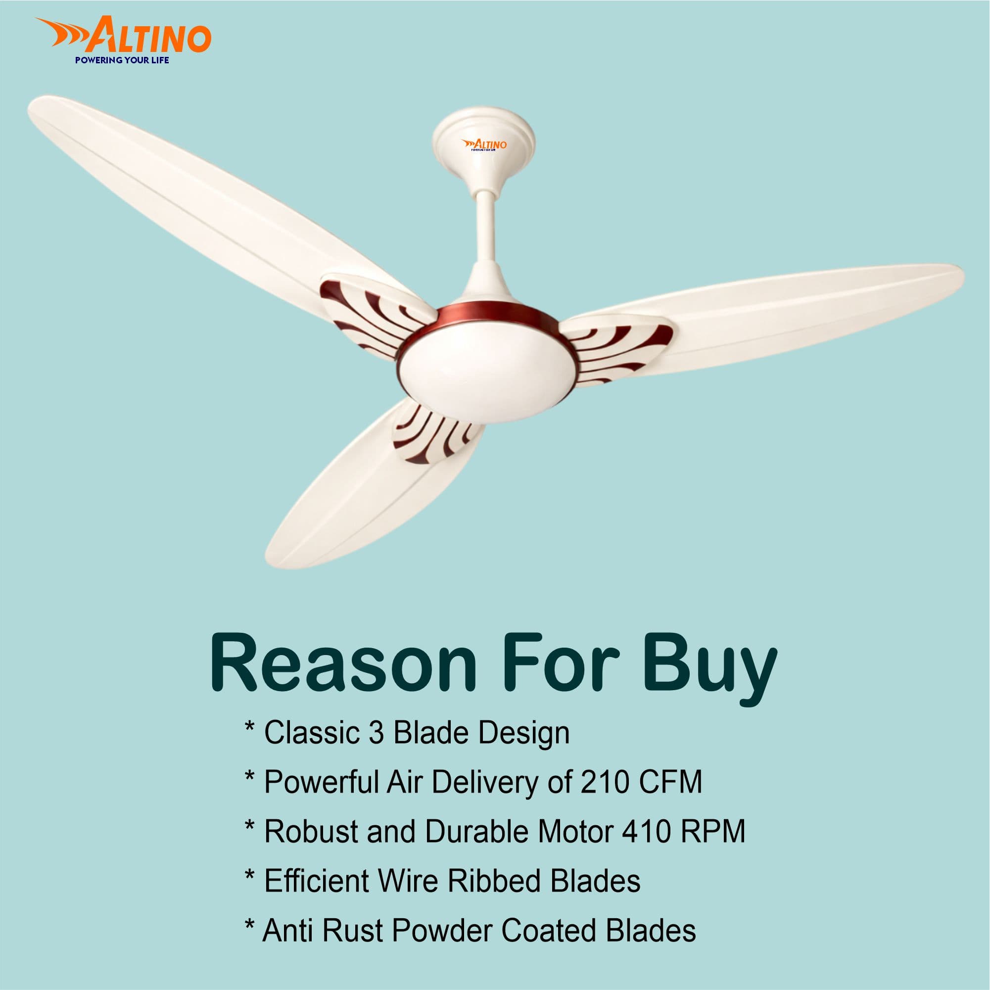 Stormax (Lotus) - Ivory view 6