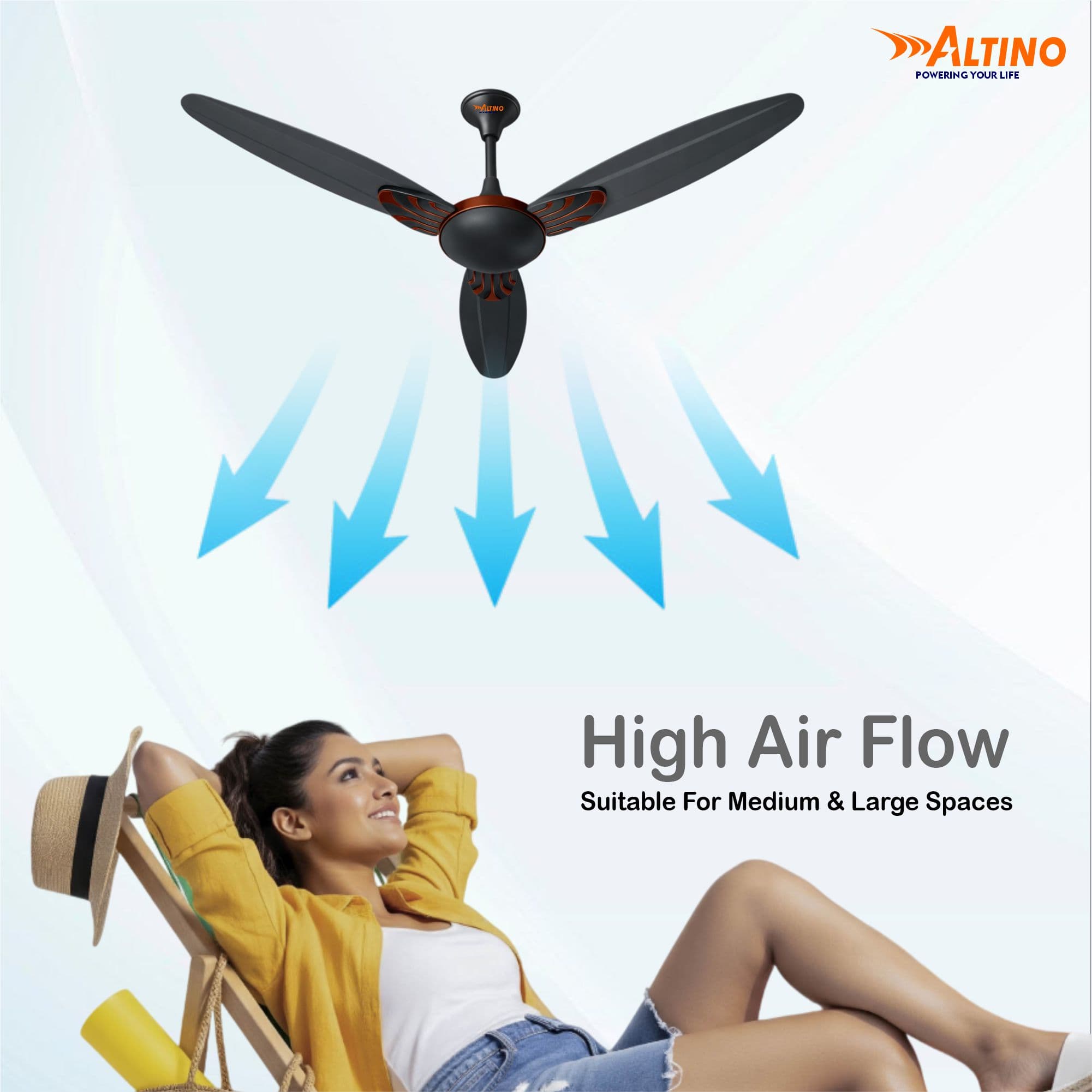 Stormax (Lotus) - Smoke Brown view 7