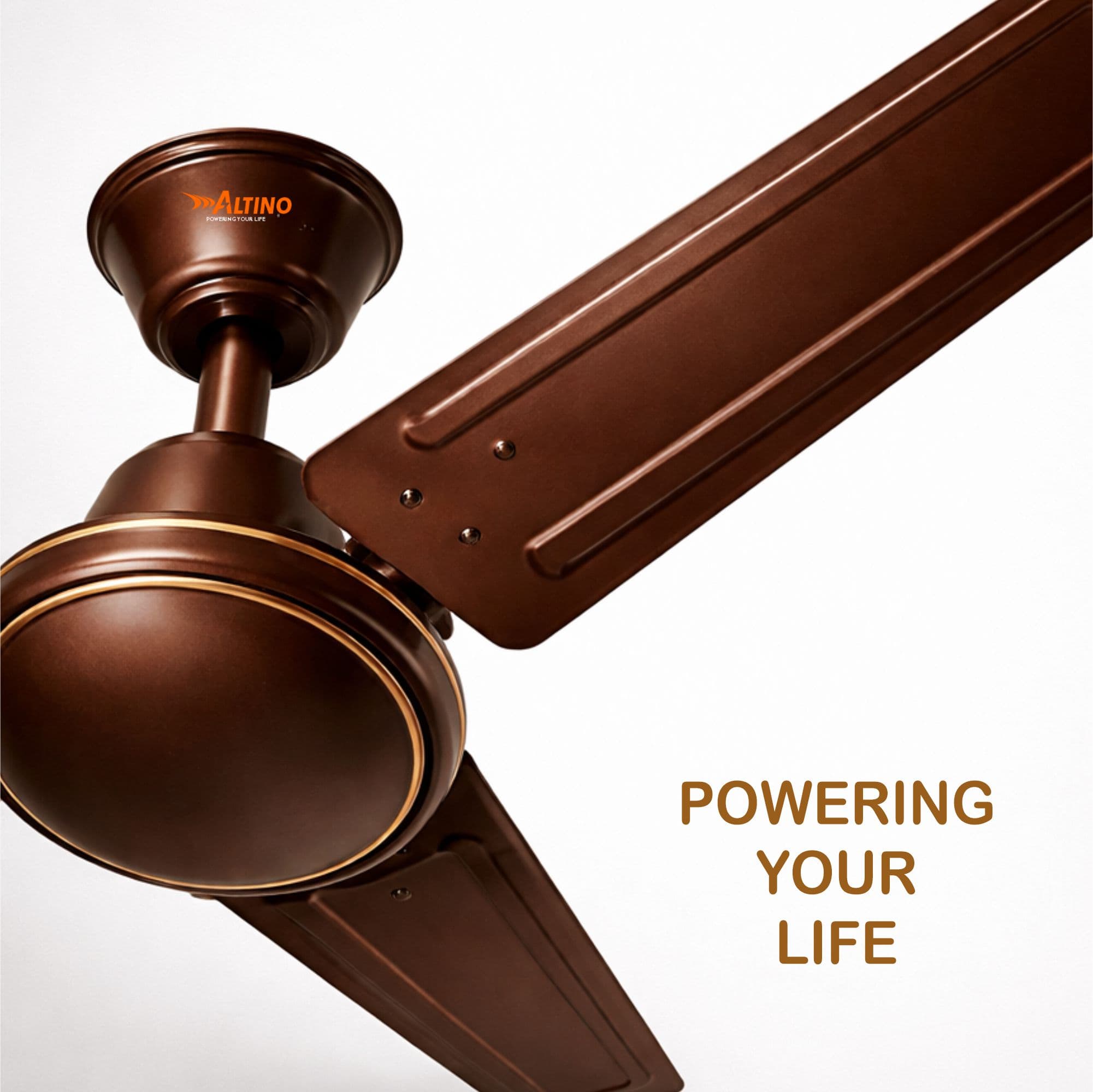 Tejas (Wind Air) - Glossy Brown view 9