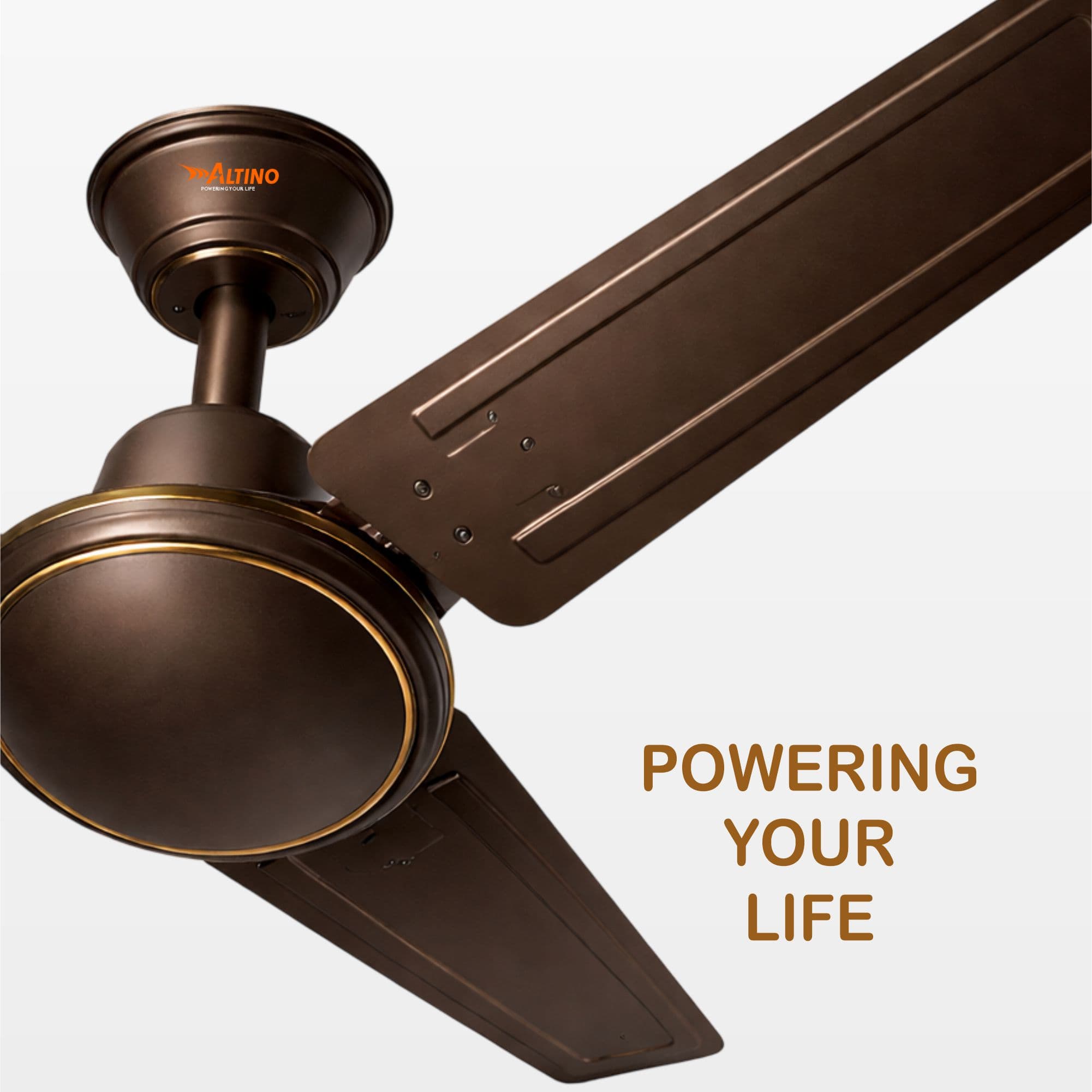 Tejas (Wind Air) - Matt Brown view 5