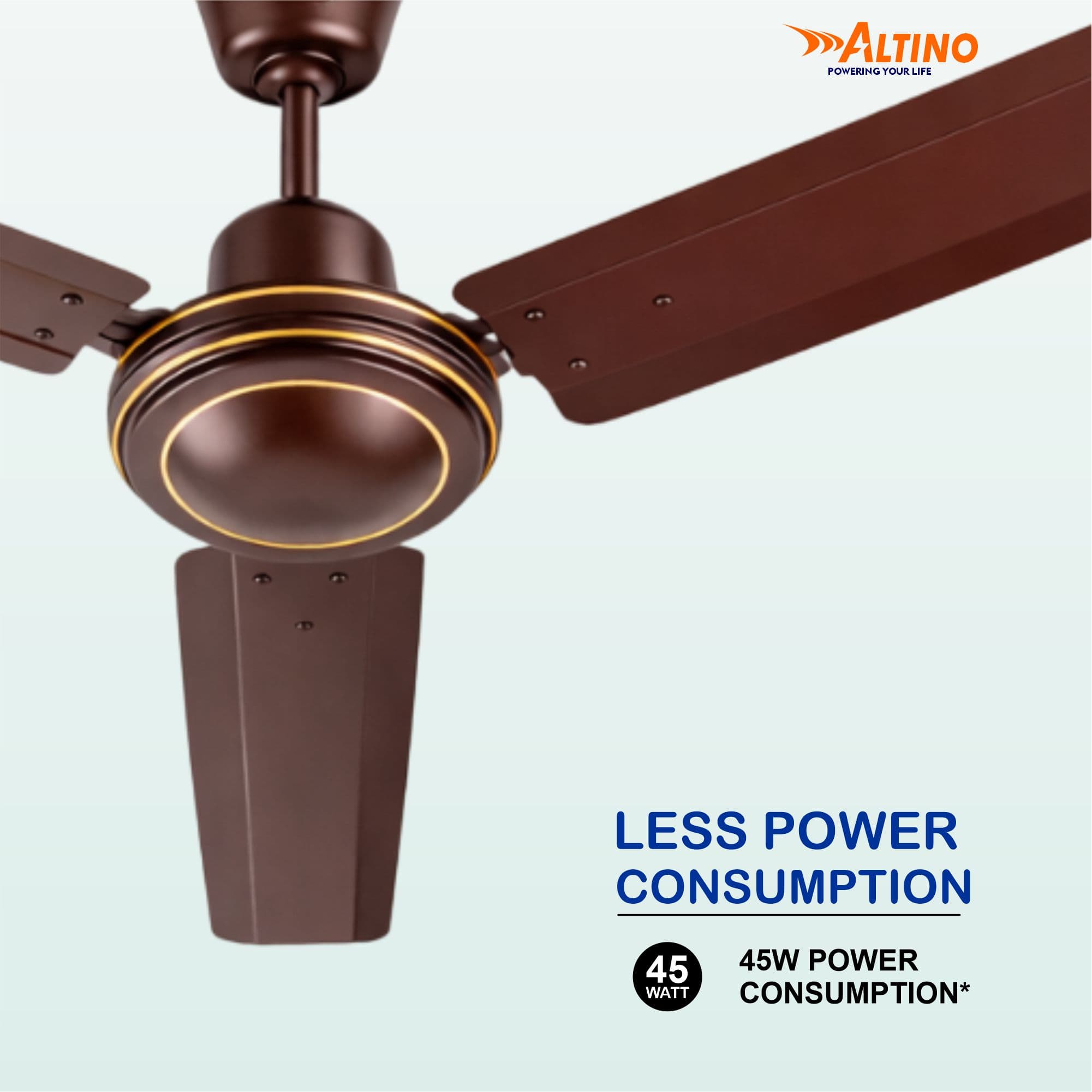 Tezz (Chetak) - Glossy Brown view 10