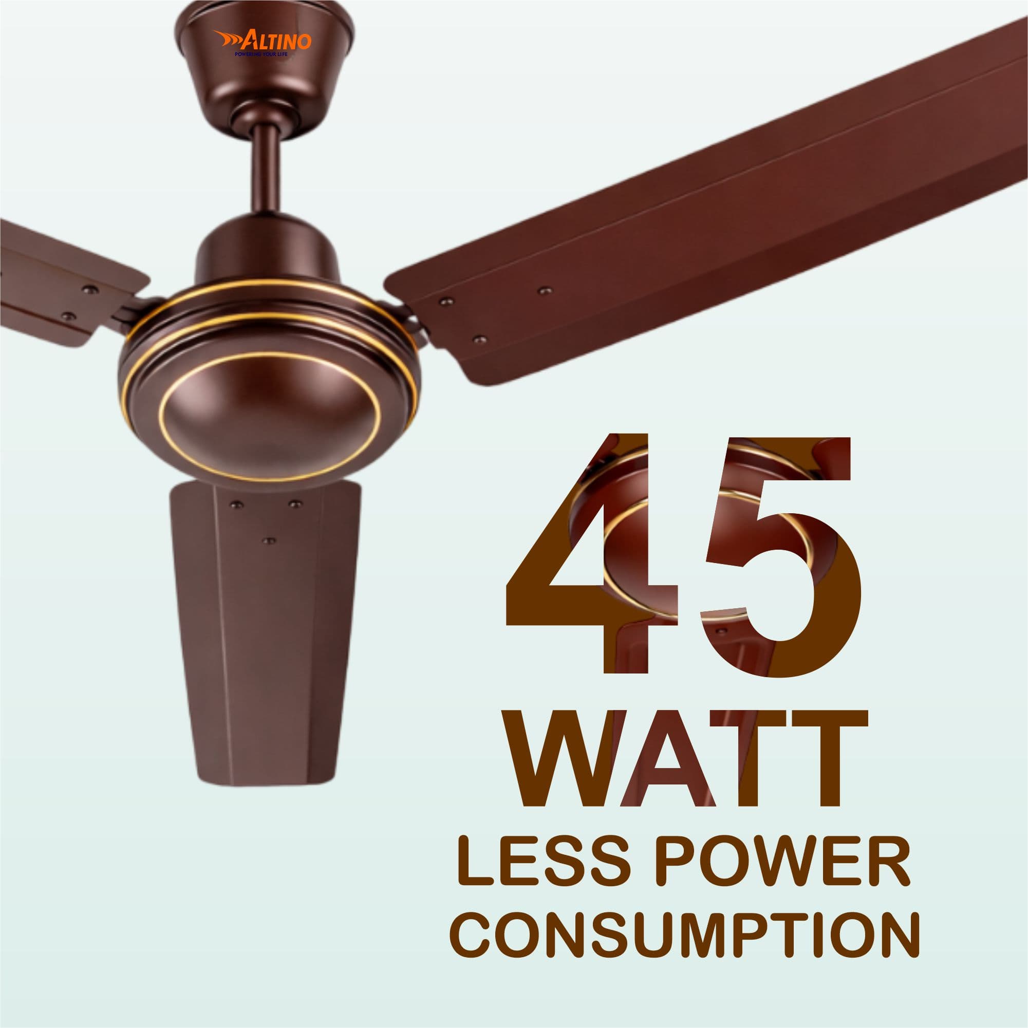 Tezz (Chetak) - Glossy Brown view 12