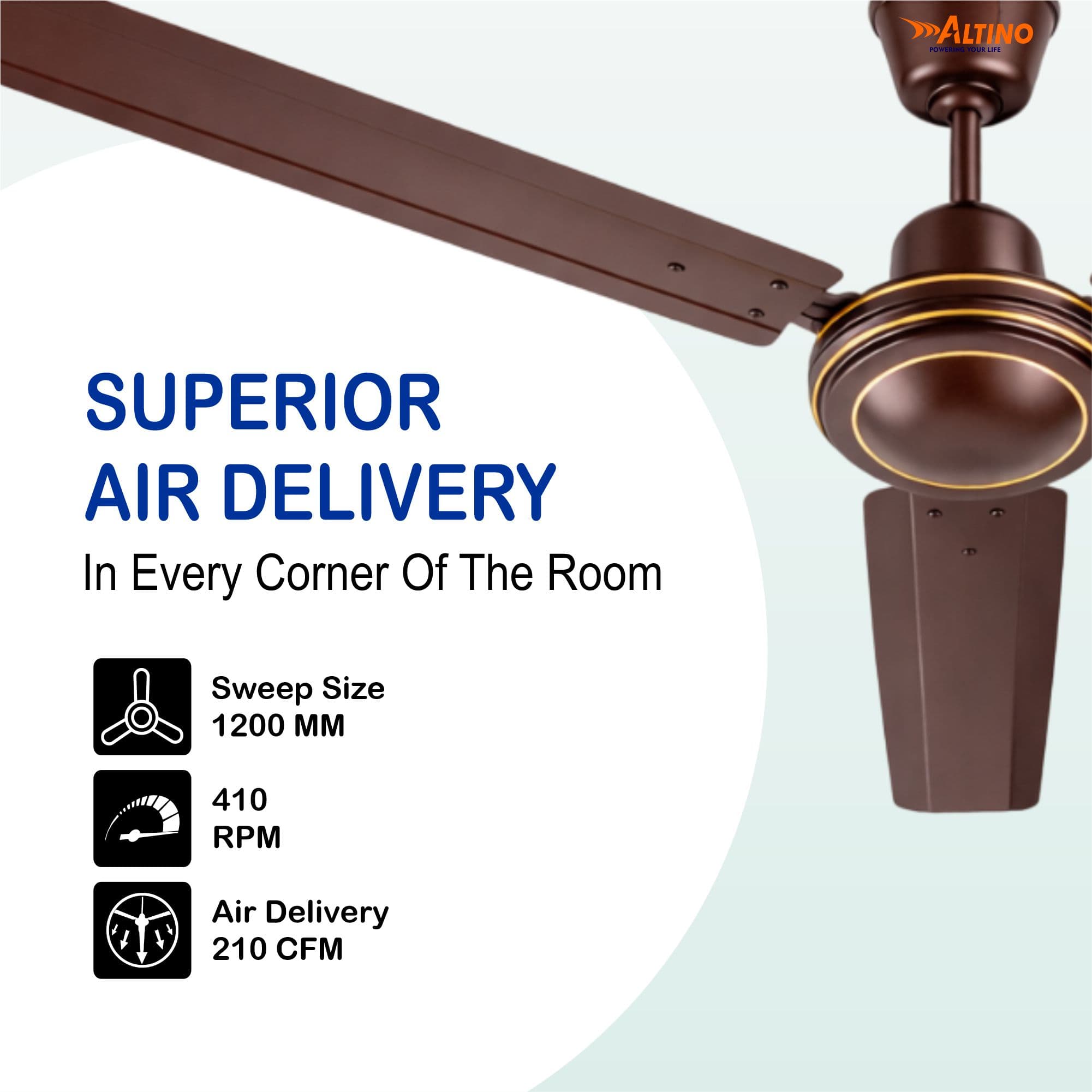 Tezz (Chetak) - Glossy Brown view 4