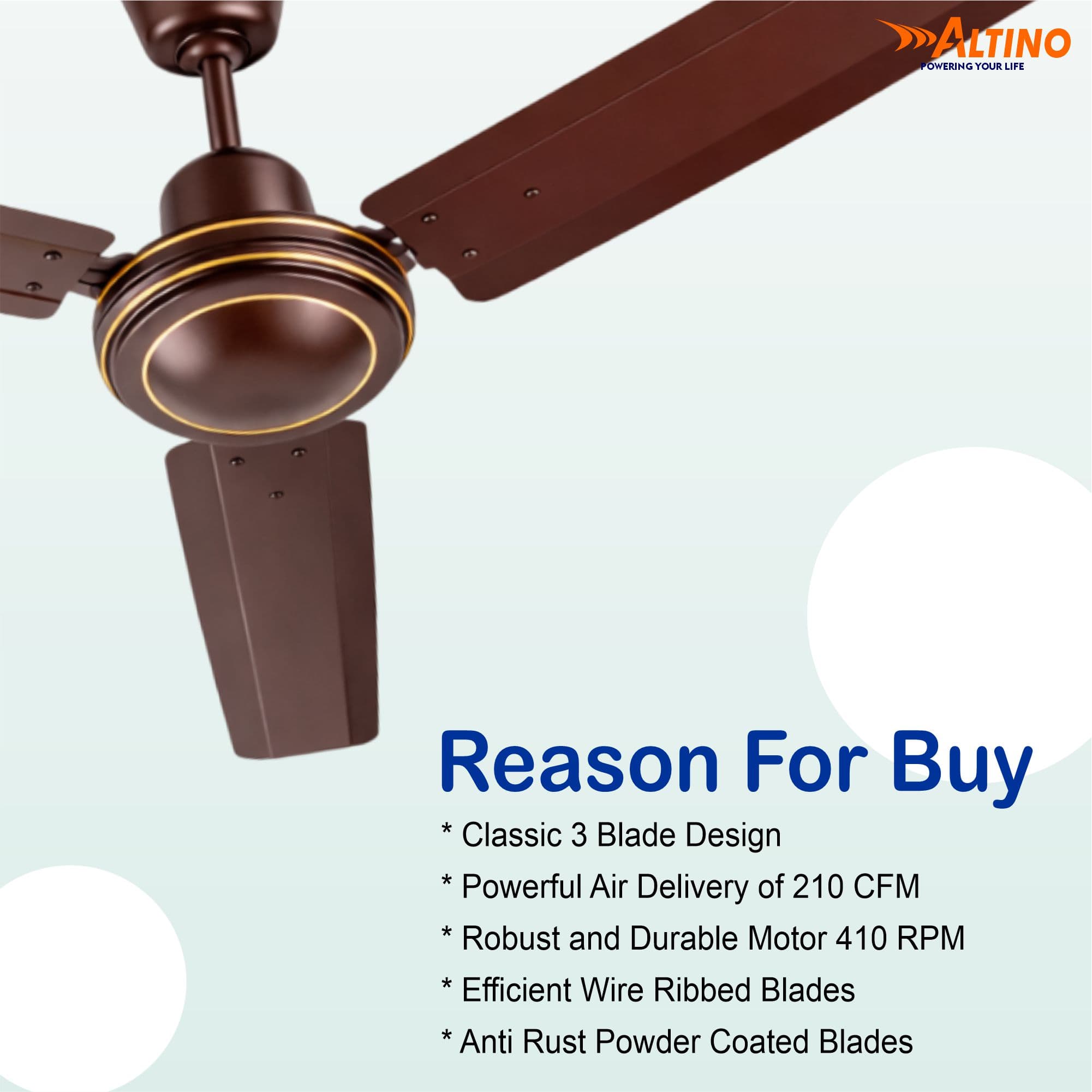 Tezz (Chetak) - Glossy Brown view 5