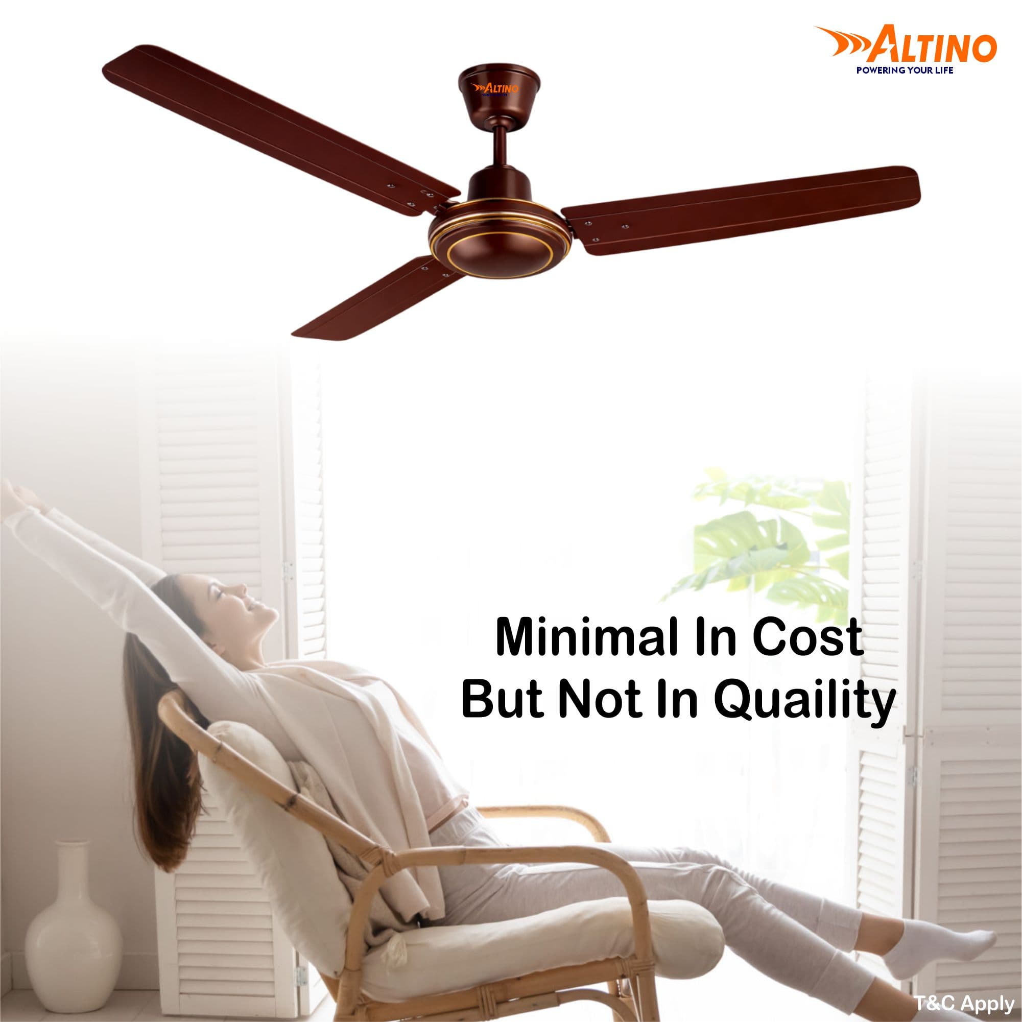 Tezz (Chetak) - Glossy Brown view 6