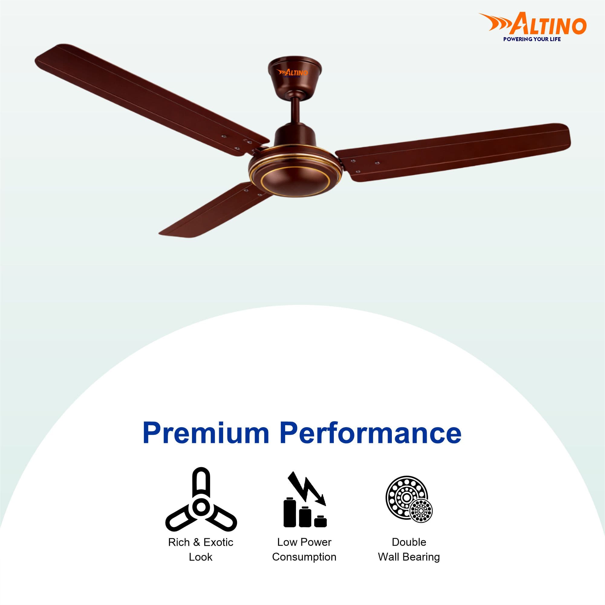 Tezz (Chetak) - Glossy Brown view 9