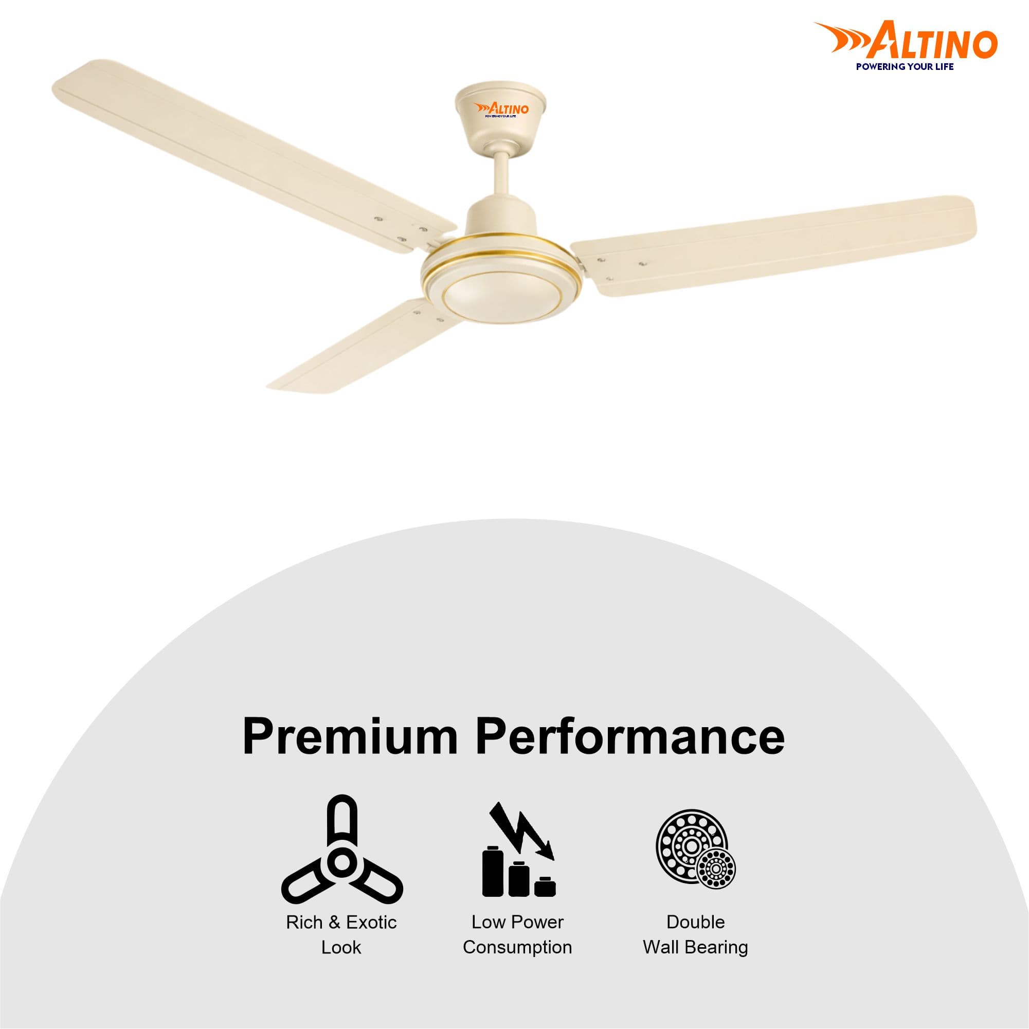 Tezz (Chetak) - Ivory view 10