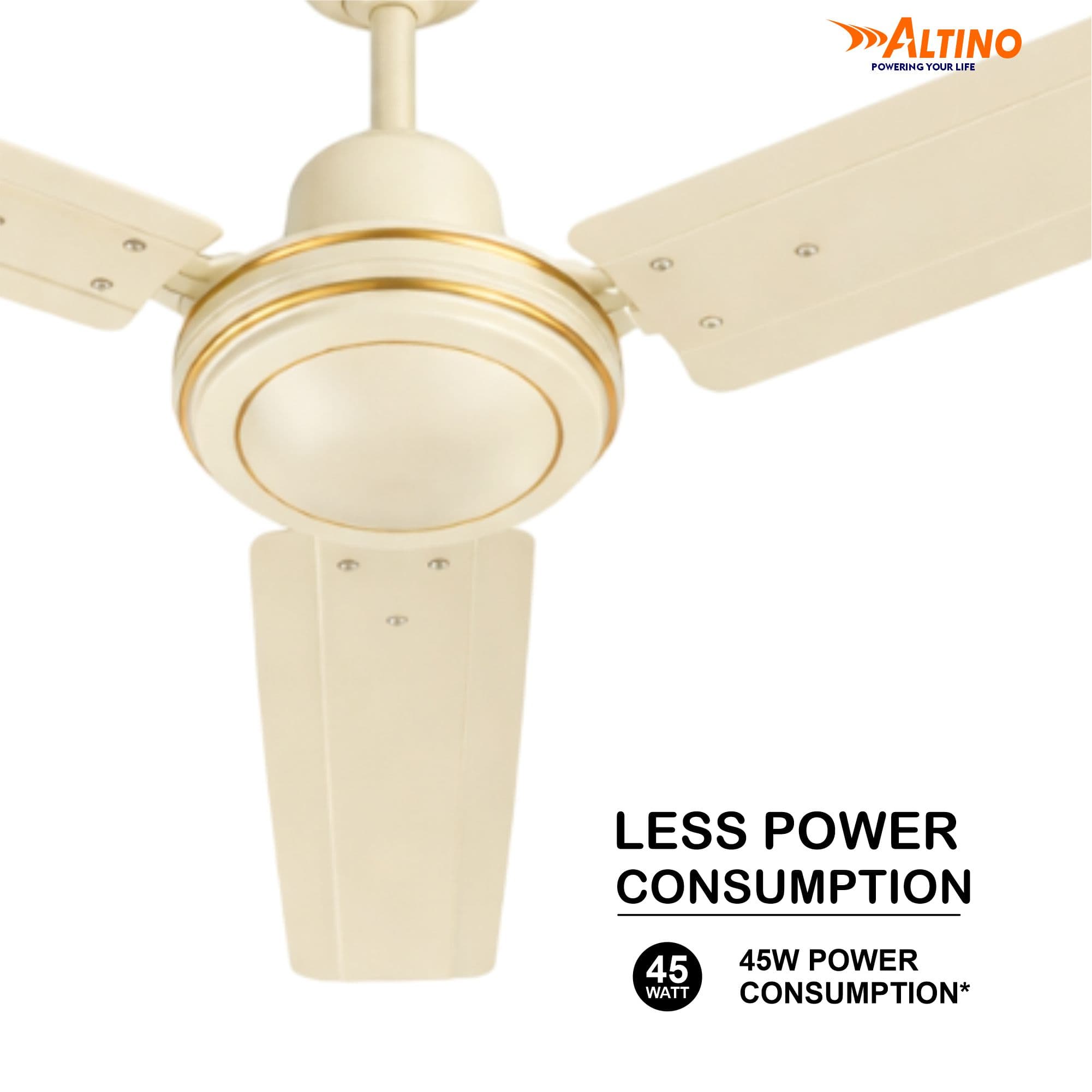 Tezz (Chetak) - Ivory view 11