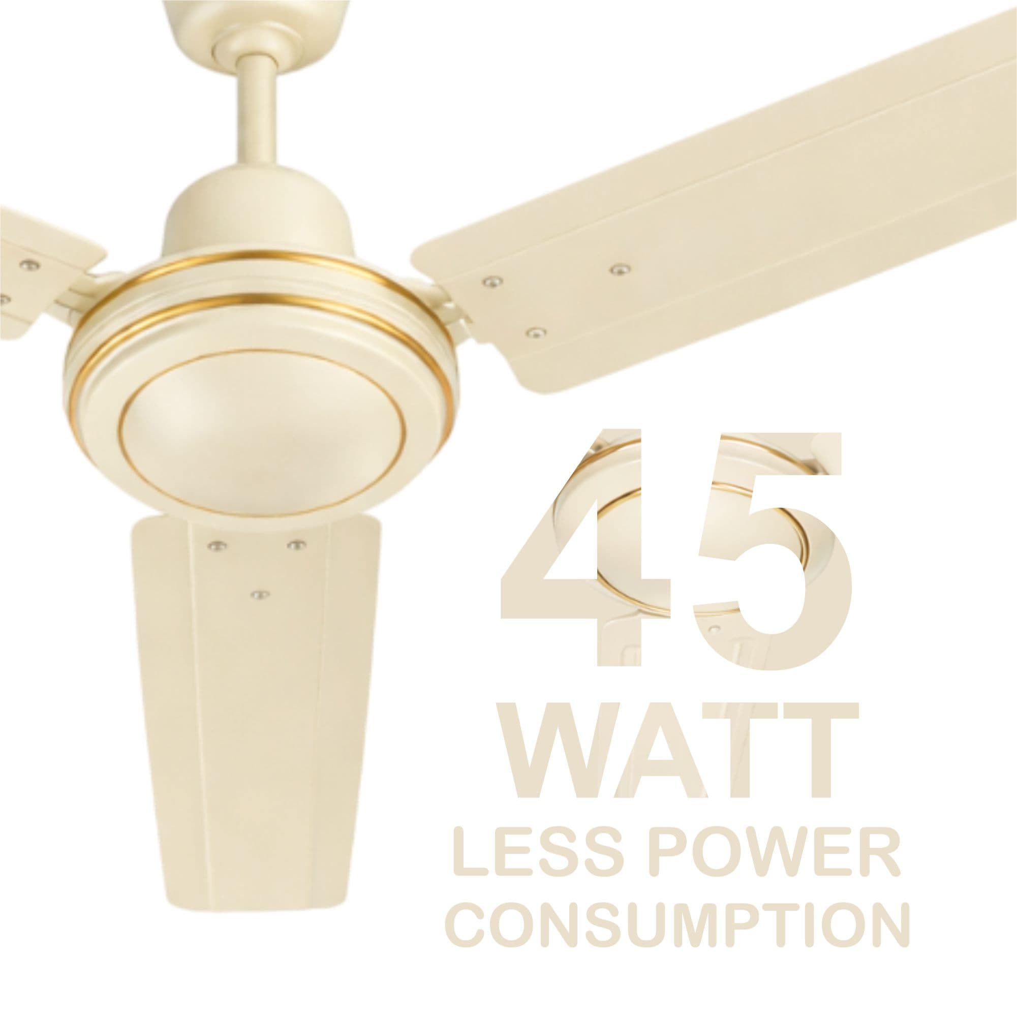 Tezz (Chetak) - Ivory view 13