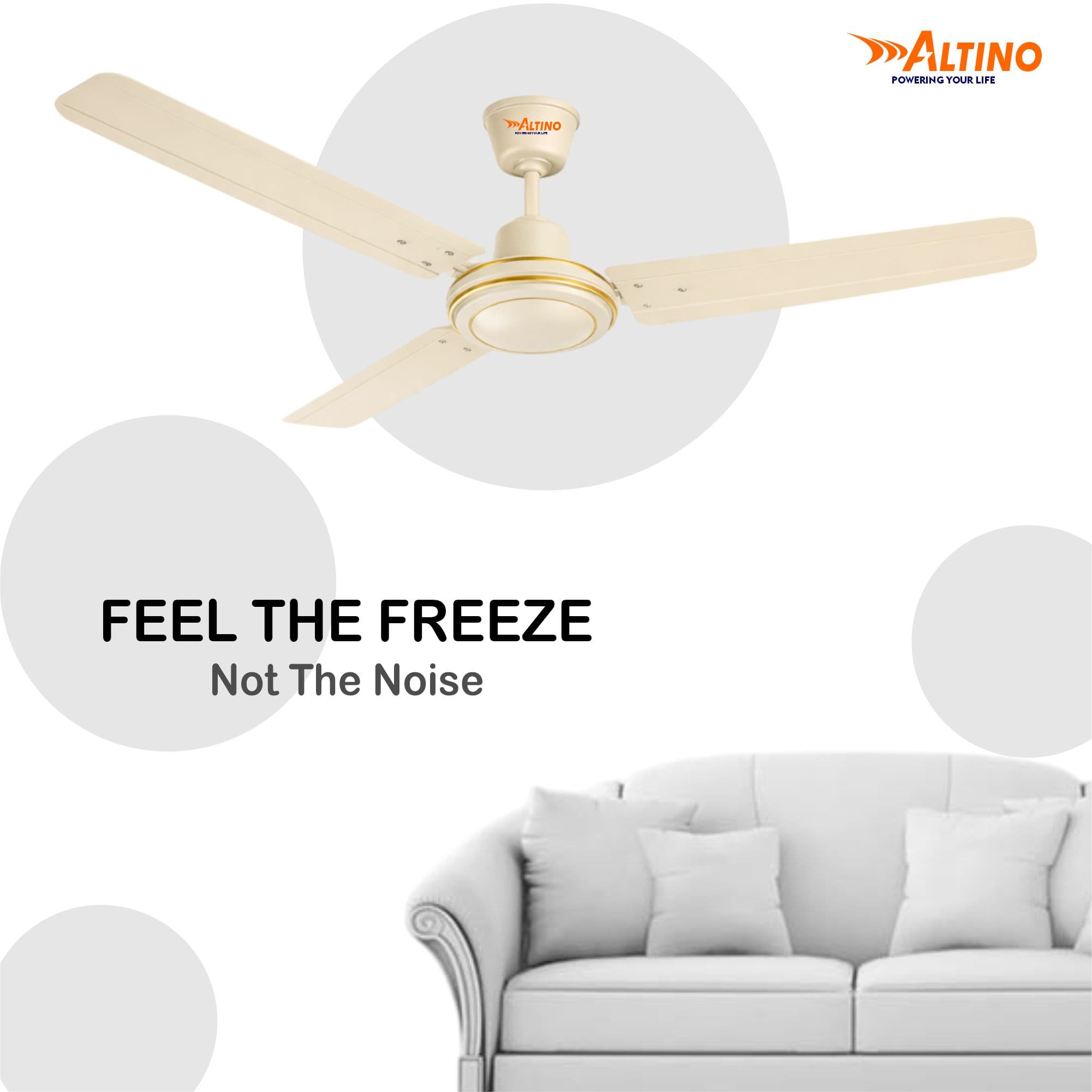 Tezz (Chetak) - Ivory view 4