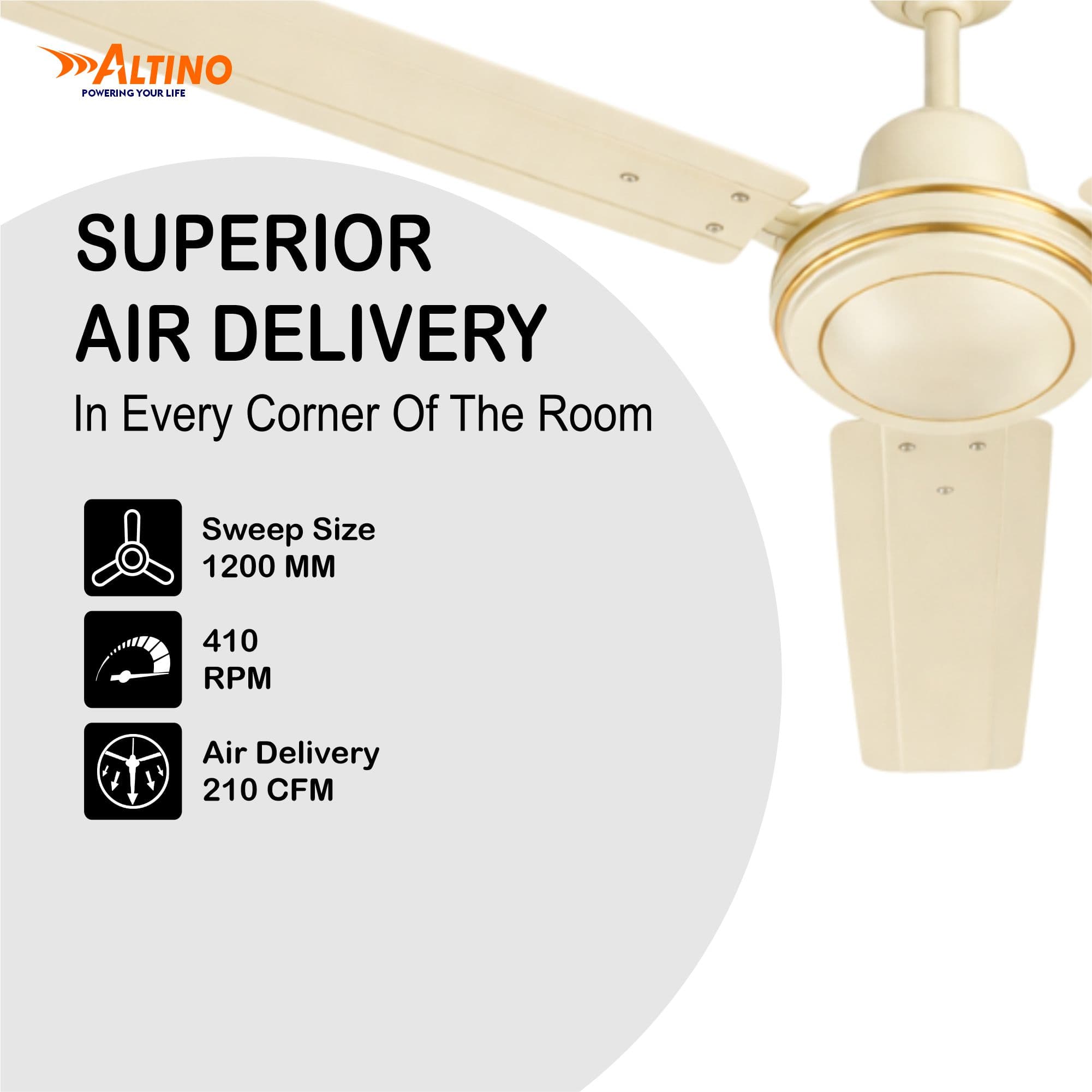 Tezz (Chetak) - Ivory view 5