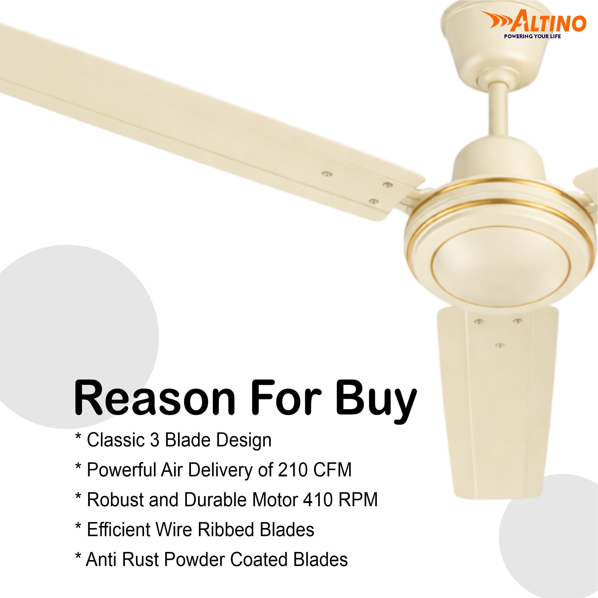 Tezz (Chetak) - Ivory view 6