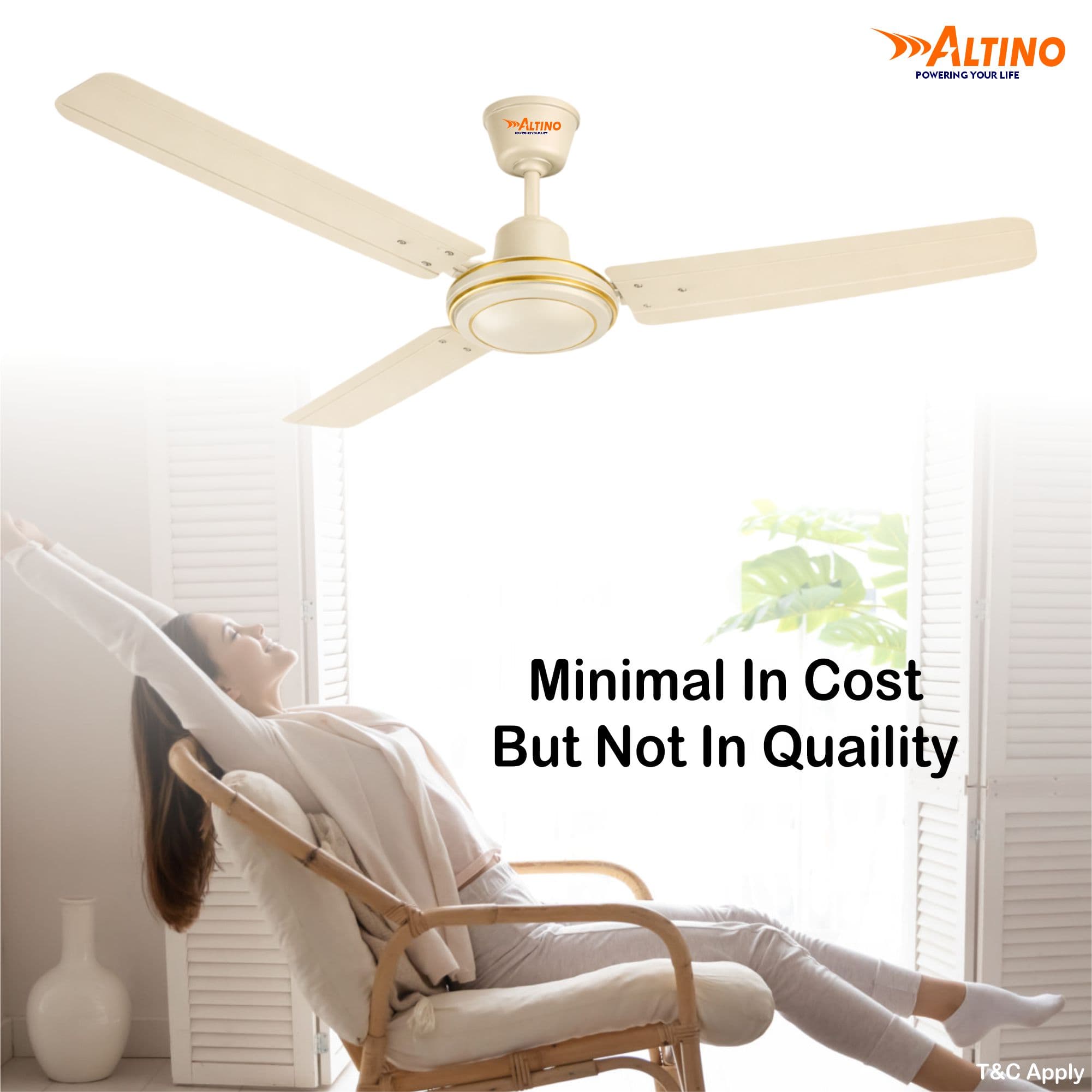 Tezz (Chetak) - Ivory view 7