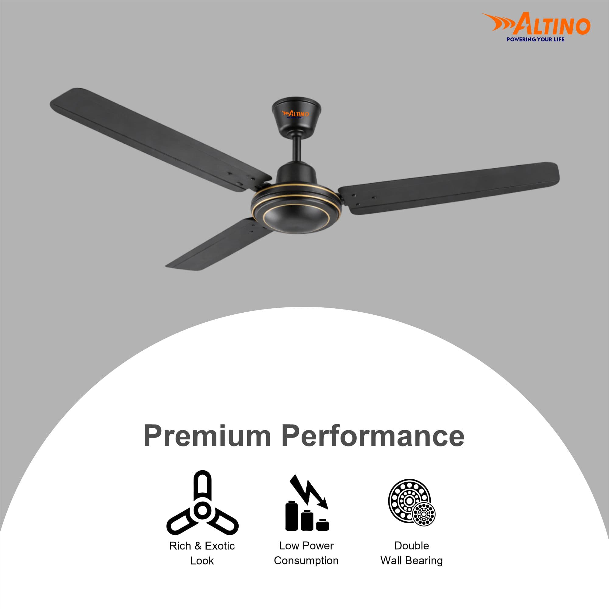 Tezz (Chetak) - Smoke Brown view 10