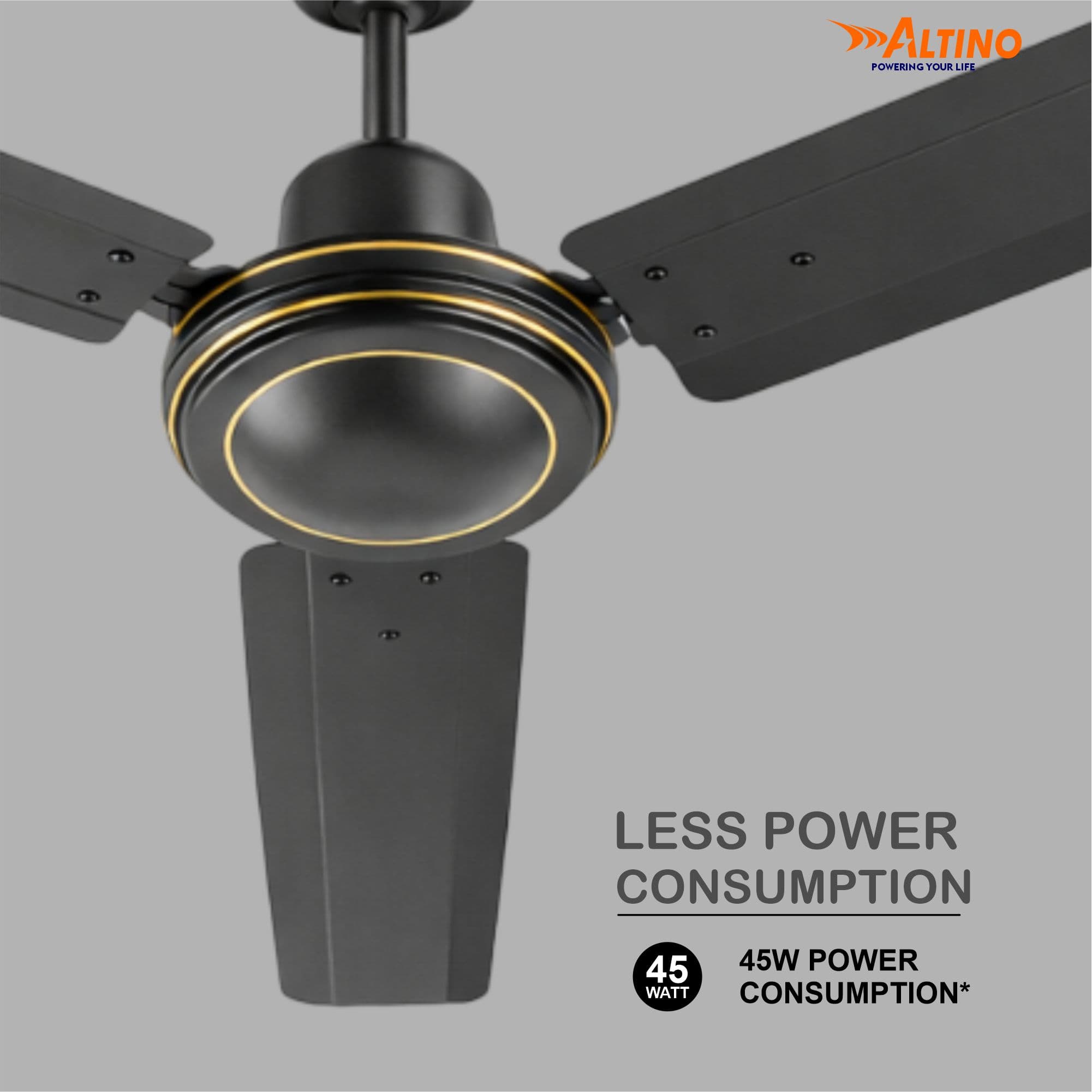 Tezz (Chetak) - Smoke Brown view 11