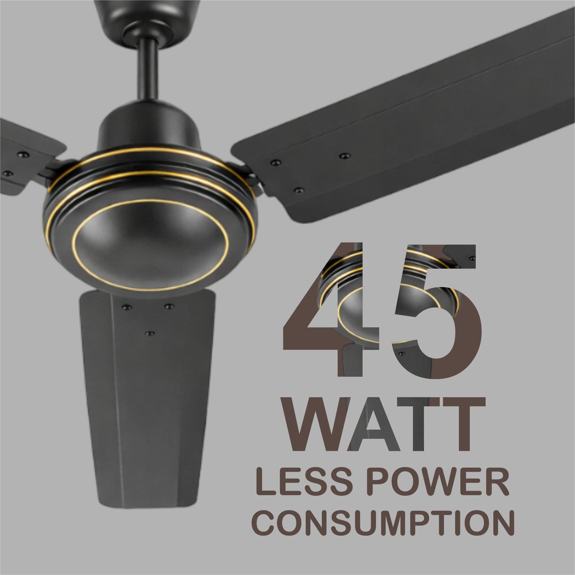 Tezz (Chetak) - Smoke Brown view 13