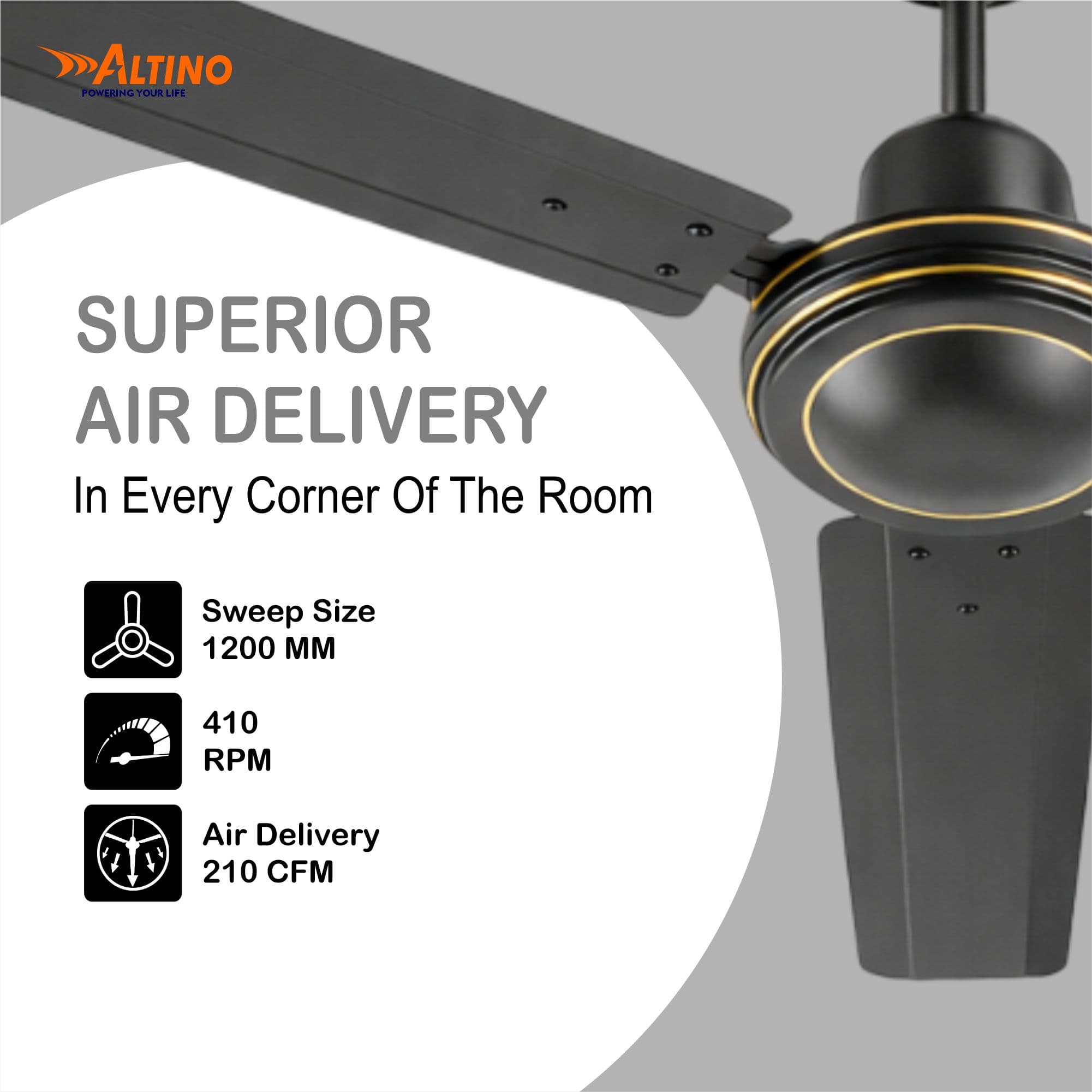 Tezz (Chetak) - Smoke Brown view 5