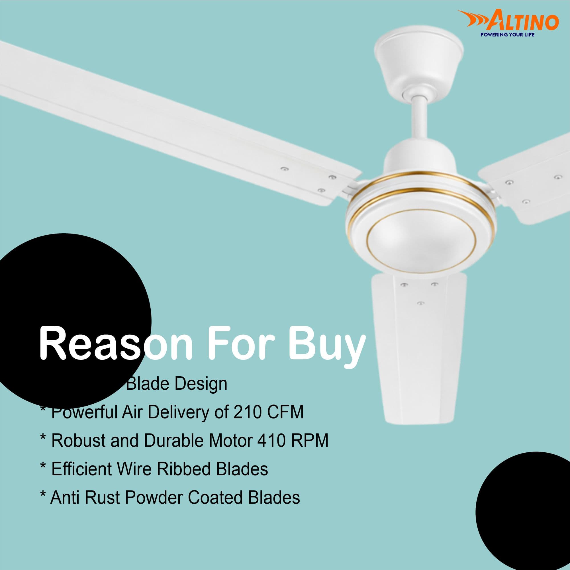 Tezz (Chetak) - White view 6