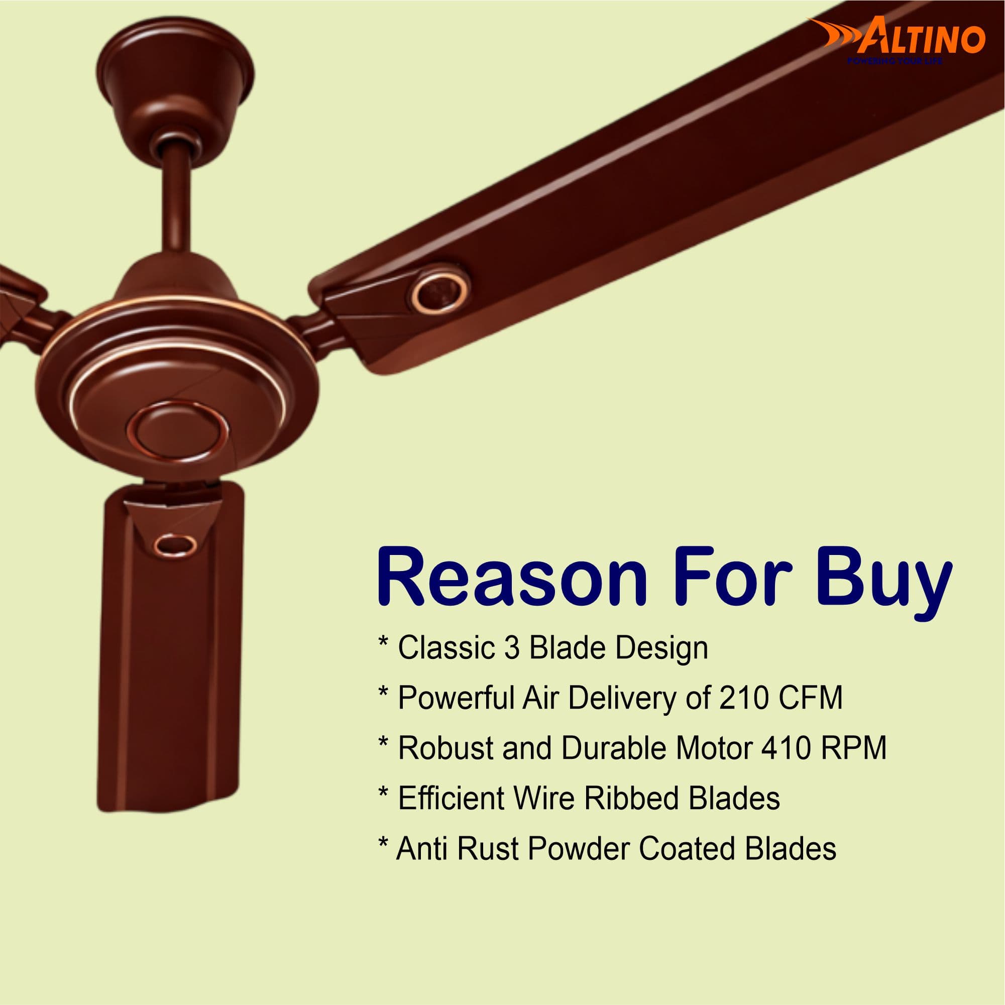 Titan (summer breeze) - Glossy Brown view 6